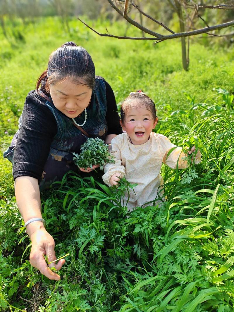 把🍌伸进的🍑里www